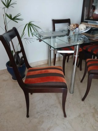 Sillas de comedor con tapizado de terciopelo