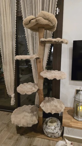 Árbol para gatos de madera maciza