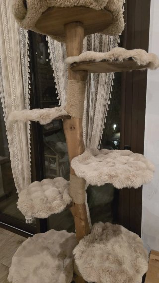 Árbol para gatos de madera maciza