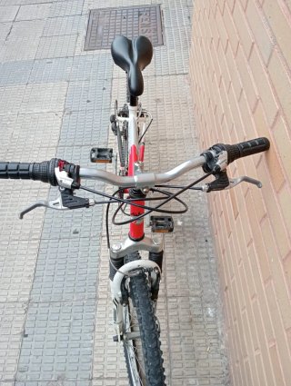 Bicicleta Montaña 24''