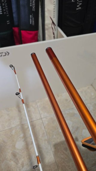 CAÑA DAIWA CAST IZM 33-425H BF