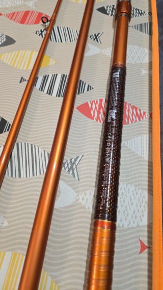CAÑA DAIWA CAST IZM 33-425H BF