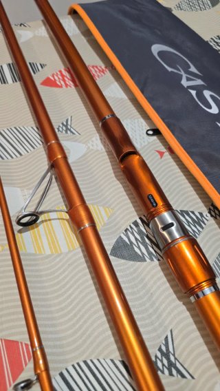 CAÑA DAIWA CAST IZM 33-425H BF