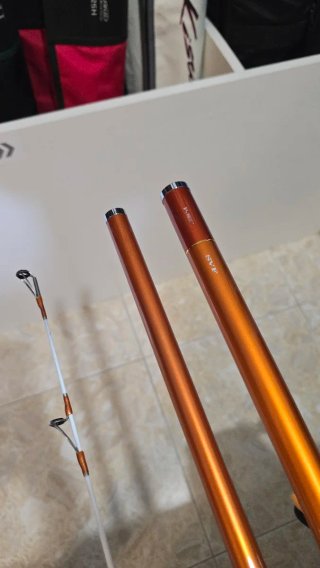 CAÑA DAIWA CAST IZM 33-425H BF