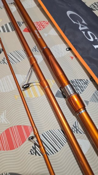 CAÑA DAIWA CAST IZM 33-425H BF