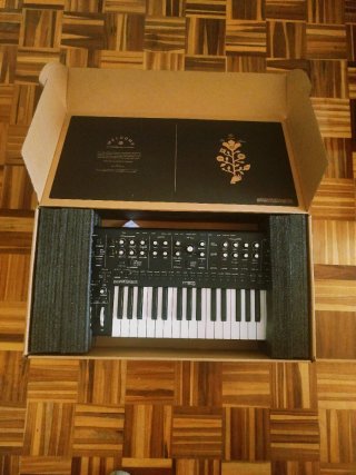 Sintetizador Moog Messenger + Caja
