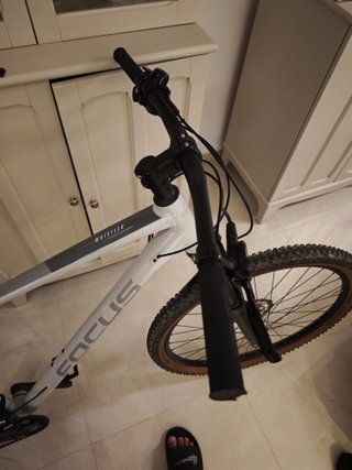 Bicicleta MTB Focus Whistler 3.8 Grigia 29 XL