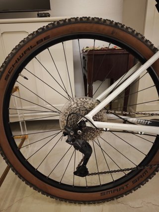 Bicicleta MTB Focus Whistler 3.8 Grigia 29 XL