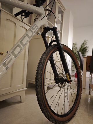 Bicicleta MTB Focus Whistler 3.8 Grigia 29 XL
