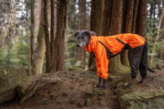 Non Stop Dogwear Fjord Overall Impermeable Perro