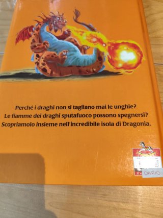 Due libri sui draghi