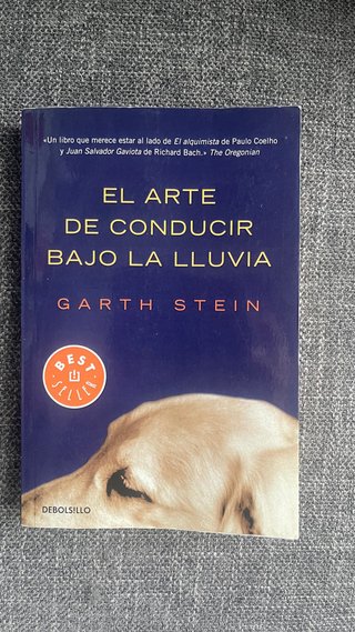 El arte de conducir bajo la lluvia – Garth Stein