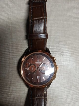 Reloj Festina F16999 Marrón y Dorado