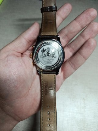 Reloj Festina F16999 Marrón y Dorado