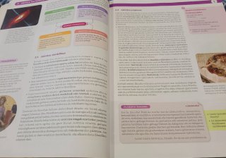 FILOSOFIA 1 BTX MUNDUAK ERAIKITZEN