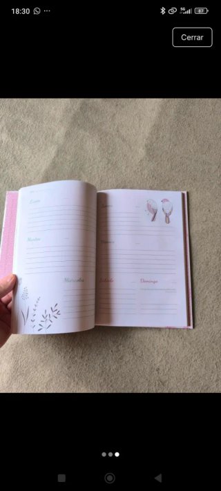 Agenda de la Matrona