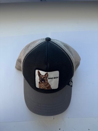 Gorra Bad Boy con perro