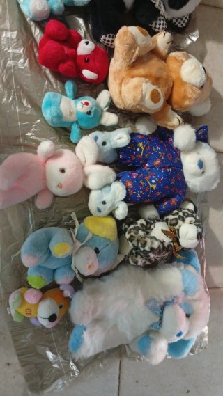 Peluche