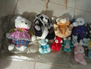 Peluche