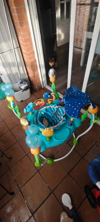 Saltador y centro de actividades +6 meses