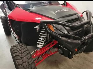 Arctic Cat Wildcat Edición Limitada