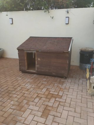 Caseta perro