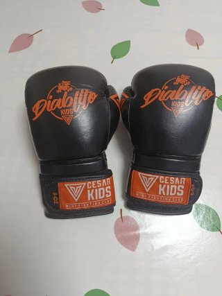 Set Boxeo/Muay Thai Niños Guantes 8oz + Espiniller