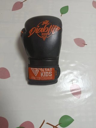 Set Boxeo/Muay Thai Niños Guantes 8oz + Espiniller