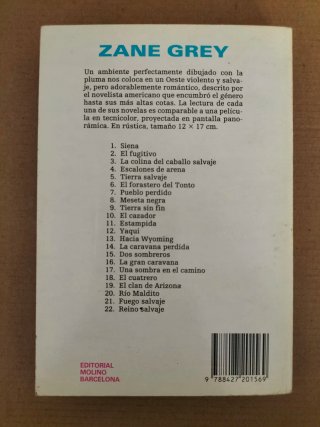 El secreto de chimneys. Libro