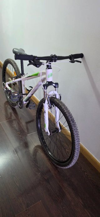Bicicleta Orbea MX 24