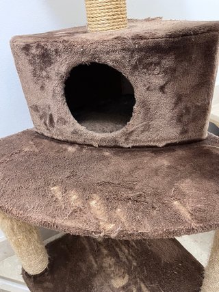 Árbol rascador para gatos