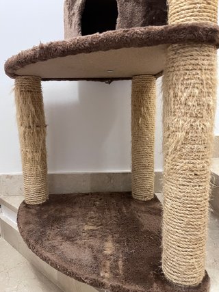 Árbol rascador para gatos