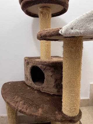 Árbol rascador para gatos