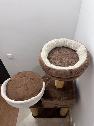 Árbol rascador para gatos
