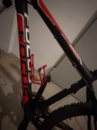 Bicicleta da montagna Focus Sport