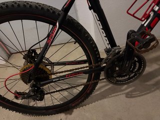 Bicicleta da montagna Focus Sport