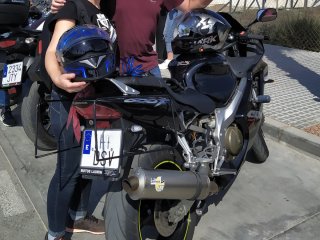 Alforjas y soporte Honda CBR 600 F4i