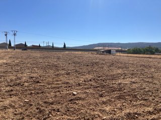 Parcela rustica en argamasilla de calatrava