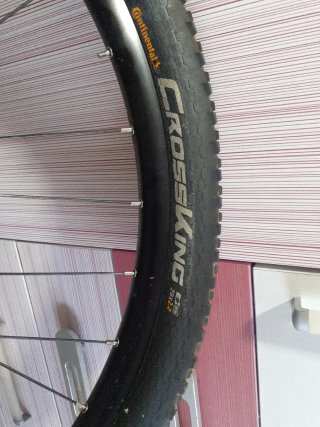 Rueda delantera Bicicleta 29