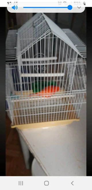 Jaula para pájaros semi nueva