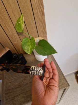 Gafas de sol Miu Miu marrones
