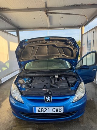 Peugeot 307 sw azul 2004
