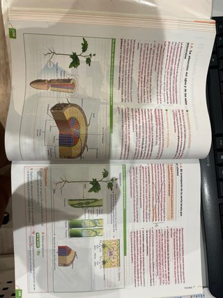 Biología y geología, Bachillerato 1 Aprender es...