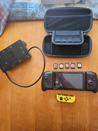 Nintendo Switch Ring Fit Adventure protector roto