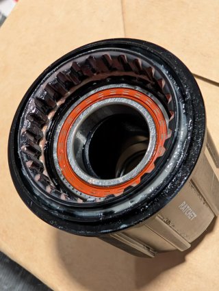 Núcleo DT Swiss Ratchet Shimano HG (10/11v) –NUEVO