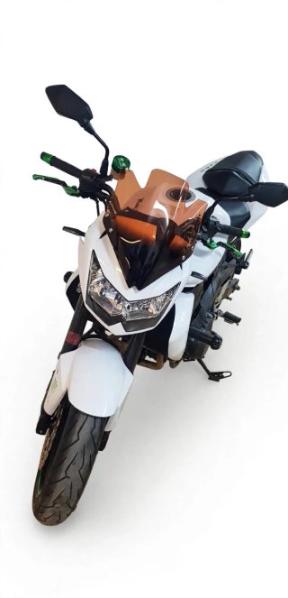 Kawasaki Z750 2010 Blanca y Negra