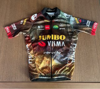 Maillot Ciclismo Visma (Edición The Masterpiece)