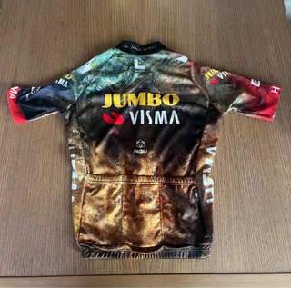 Maillot Ciclismo Visma (Edición The Masterpiece)
