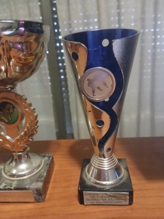 Lote 5 Trofeos Deportivos con Base