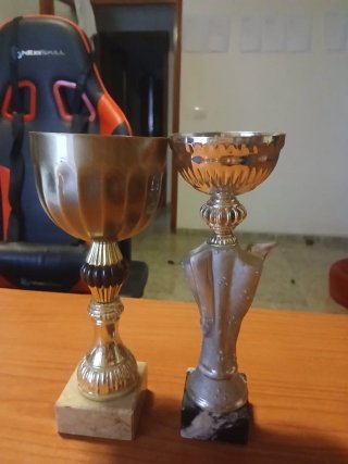 Lote 5 Trofeos Deportivos con Base
